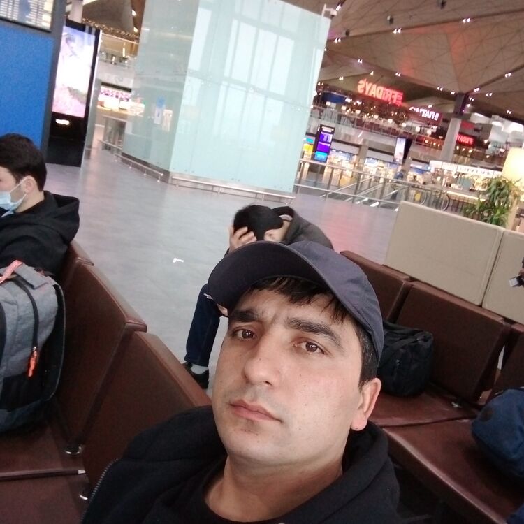  -,   , 33 ,   ,   