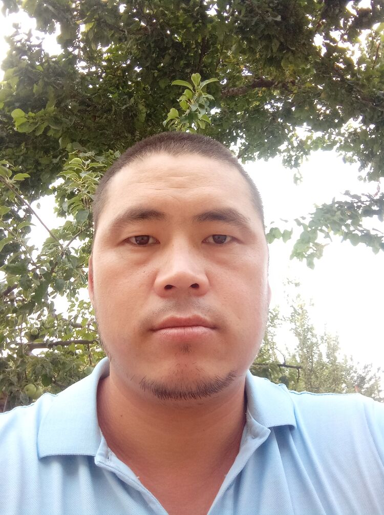  45354524  , 28 ,    