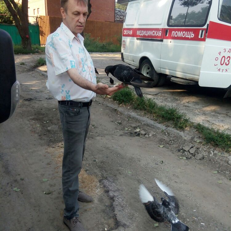 ���� 17779794 ������� ���������, 60 ���, ���� ���������� � �������-��-����