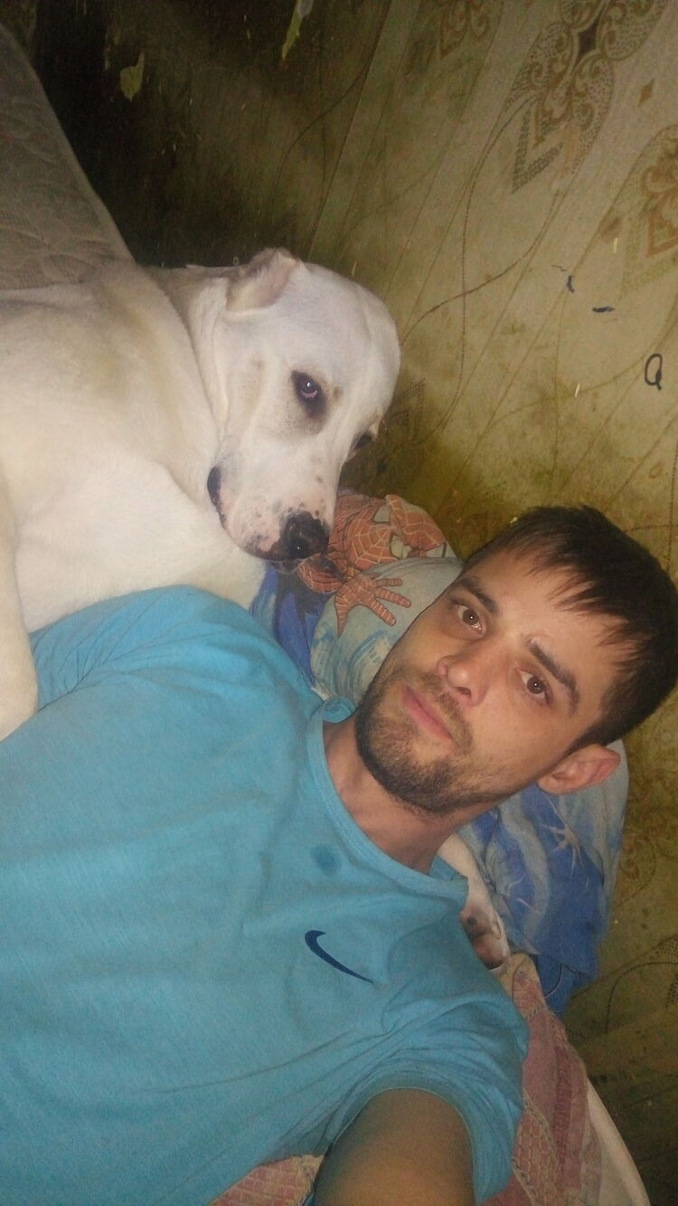  -,   , 34 ,   ,   