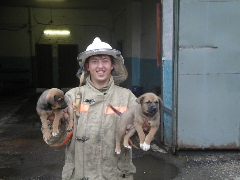 ���� 11384814 ������� �������, 38 ���, ���� ���������� � ������