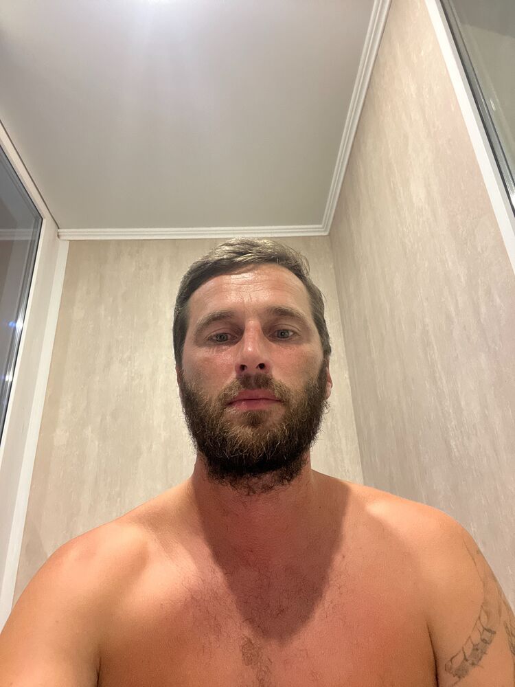  41797304  , 40 ,    
