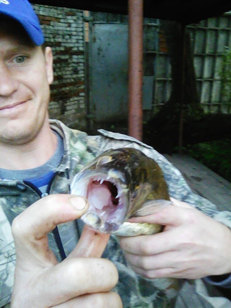 ���� 8110264 ������� ��������, 39 ���, ���� ���������� � ��������