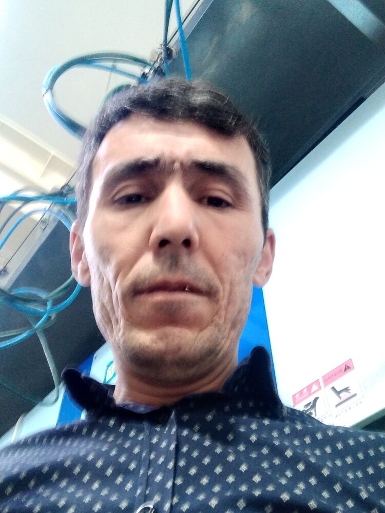  23231874  , 43 ,    