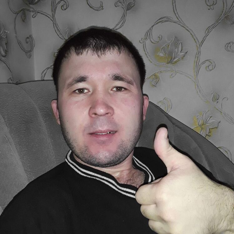  33568454  , 40 ,    