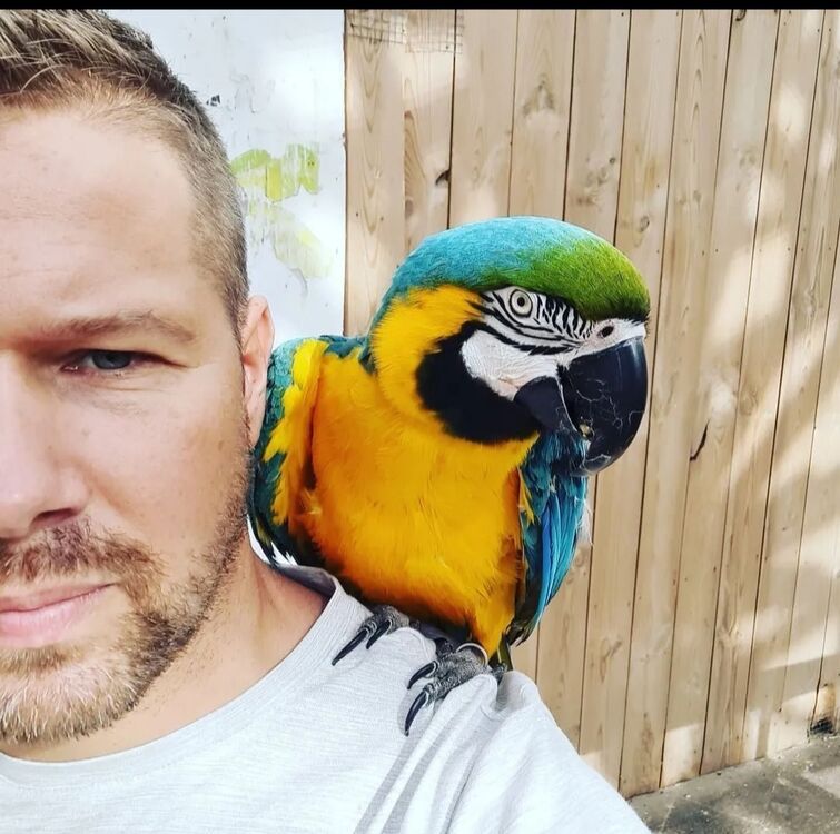 ���������� ������, ���� ������� Andrey, 52 ����, ������������ ��� ������