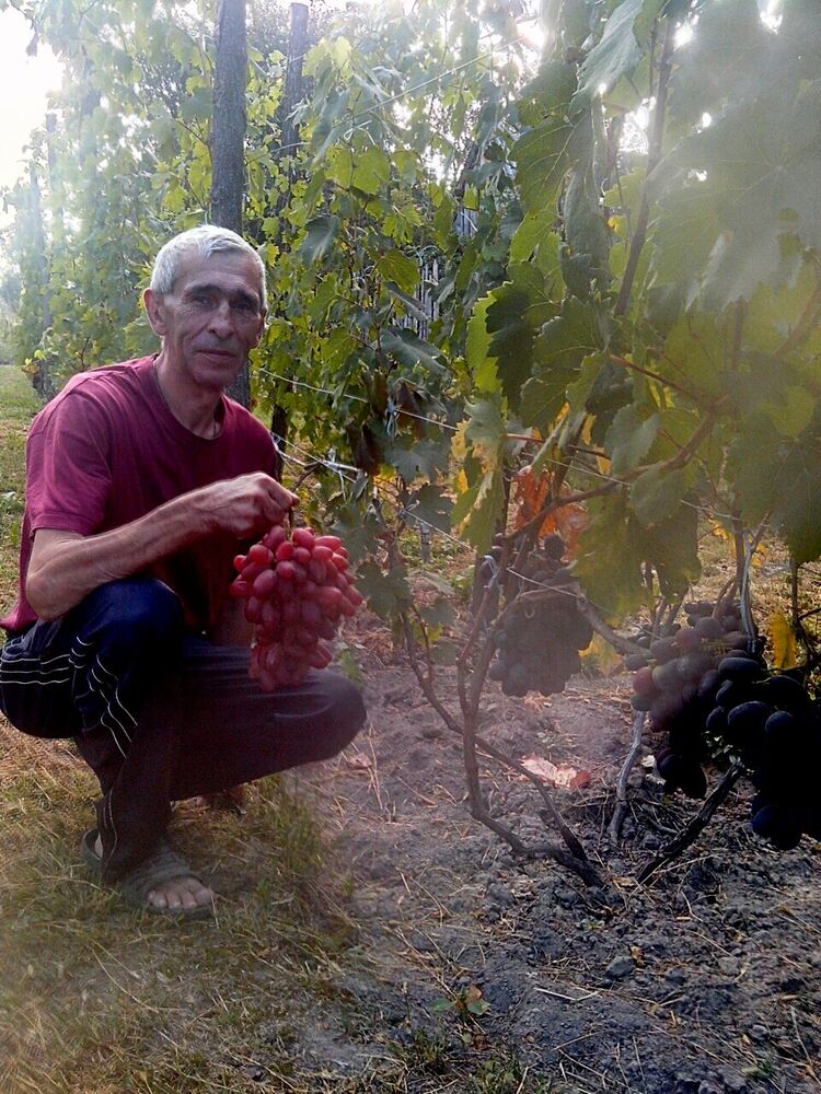  ,   , 57 ,   c , 