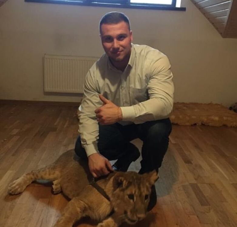 ���� 23004784 ������� �������, 35 ���, ���� ���������� � ������