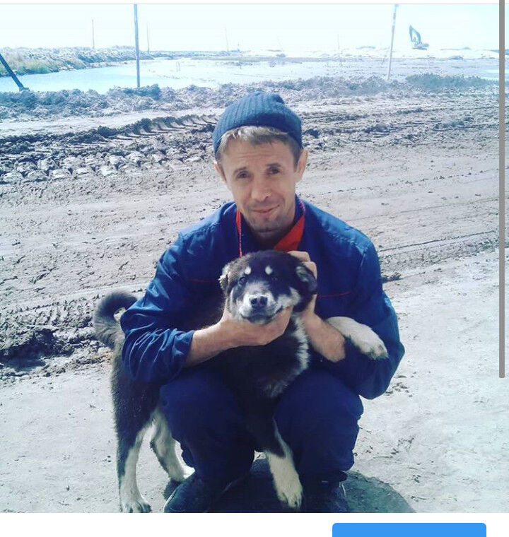  15935504  , 43 ,    