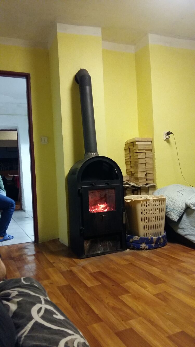 ���� 24446494 ������� ������, 54 ����, ���� ���������� � �����