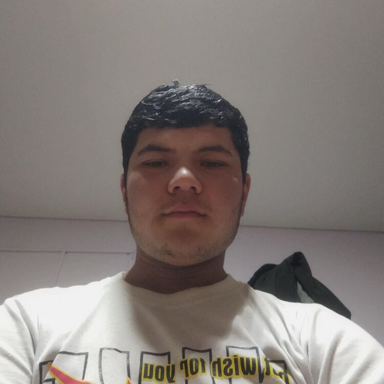 ���� 44372134 ������� ��������, 29 ���, ���� ���������� � ��������