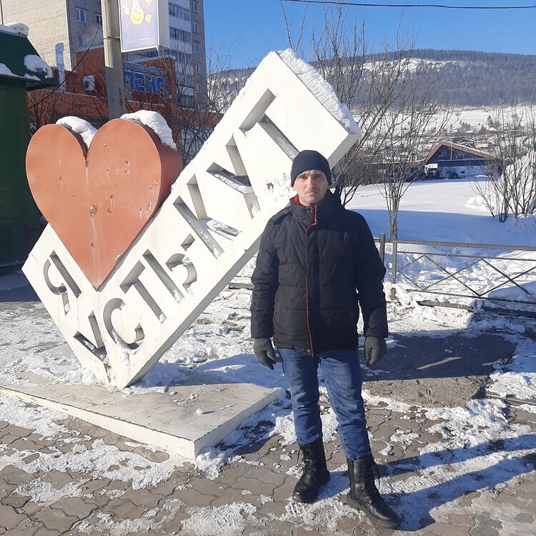  49813614  , 43 ,    -