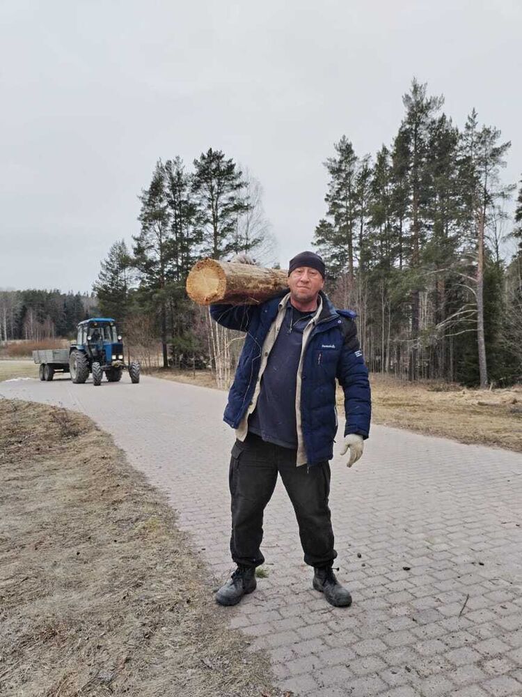 ���� 43506204 ������� ����, 50 ���, ���� ���������� � �����-����������