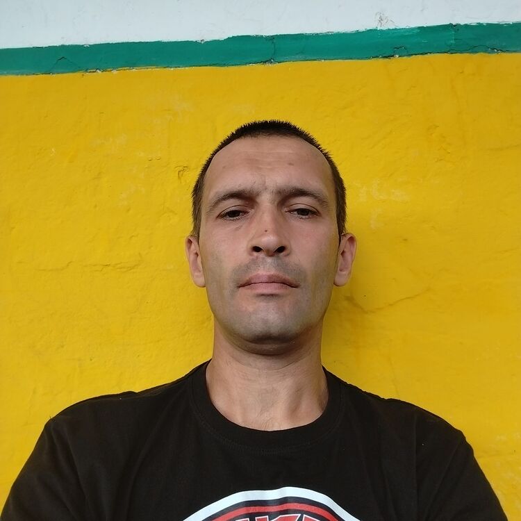  39274724  , 37 ,    