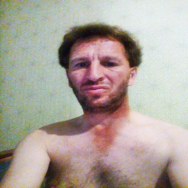  7964664  Volif24, 57 ,    