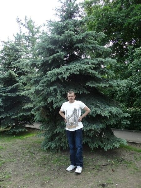 ���������� ������, ���� ������� �������, 34 ����, ������������ ��� ������, ����� � ���������, c�������� ���������