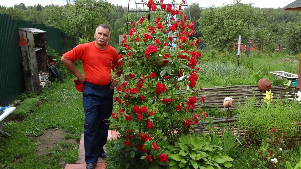  ,   , 56 ,   c 