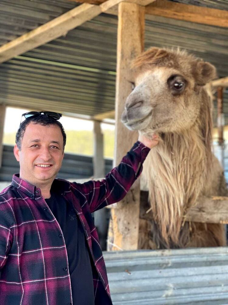 ���� 26739234 ����� � � �, 21 ���, ���� ���������� � �����