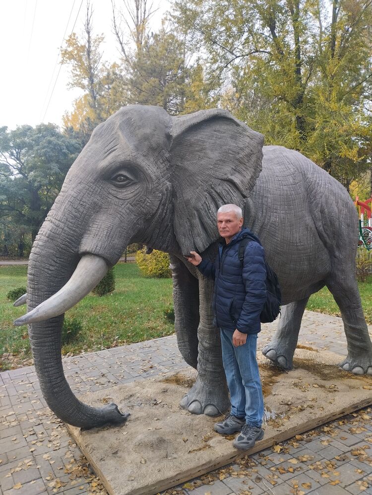 ���� 55021424 ������� �������, 56 ���, ���� ���������� � �������������