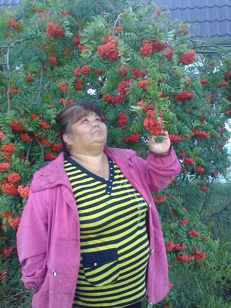 ���� 6673194 ������� ����, 57 ���, ���� ���������� � ���������