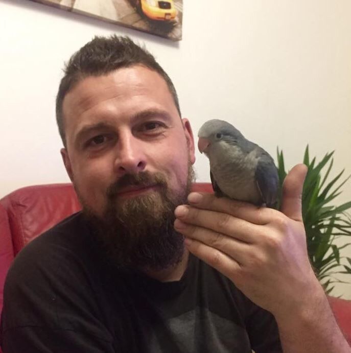 ���������� �������, ���� ������� VECESLAV, 45 ���, ������������ ��� ������, ����� � ���������, c�������� ���������