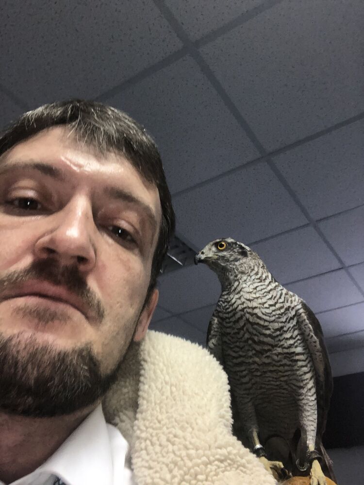 ���� 39383204 ������� ���, 47 ���, ���� ���������� � ������