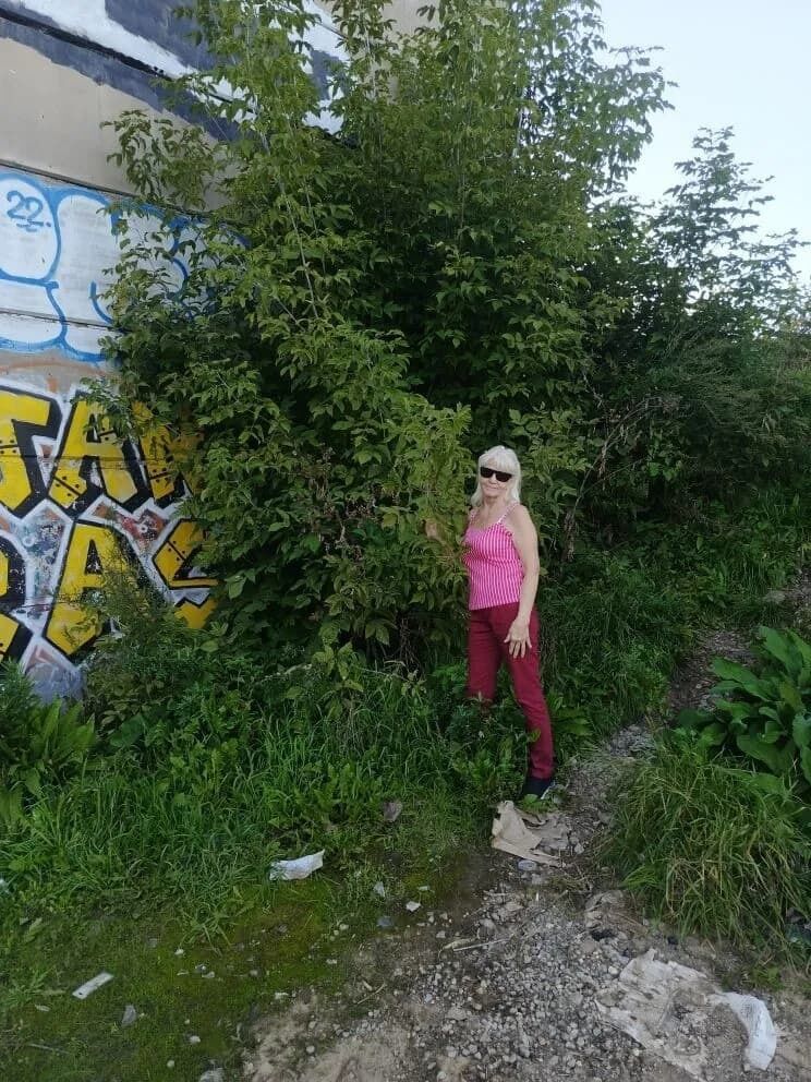 ���� 53492634 ������� ��������, 66 ���, ���� ���������� � ���������