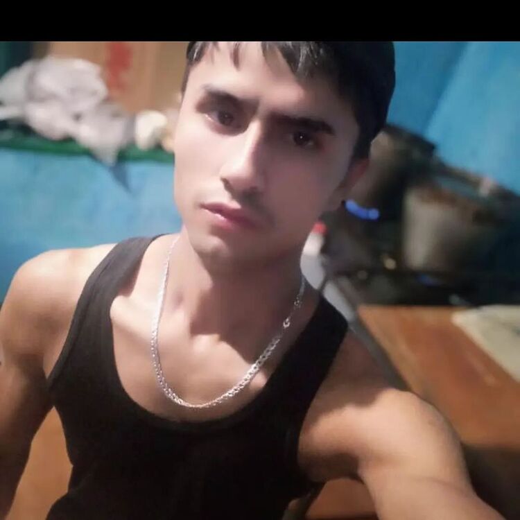 ���� 41013254 ����� ��������, 23 ����, ���� ���������� � ��������