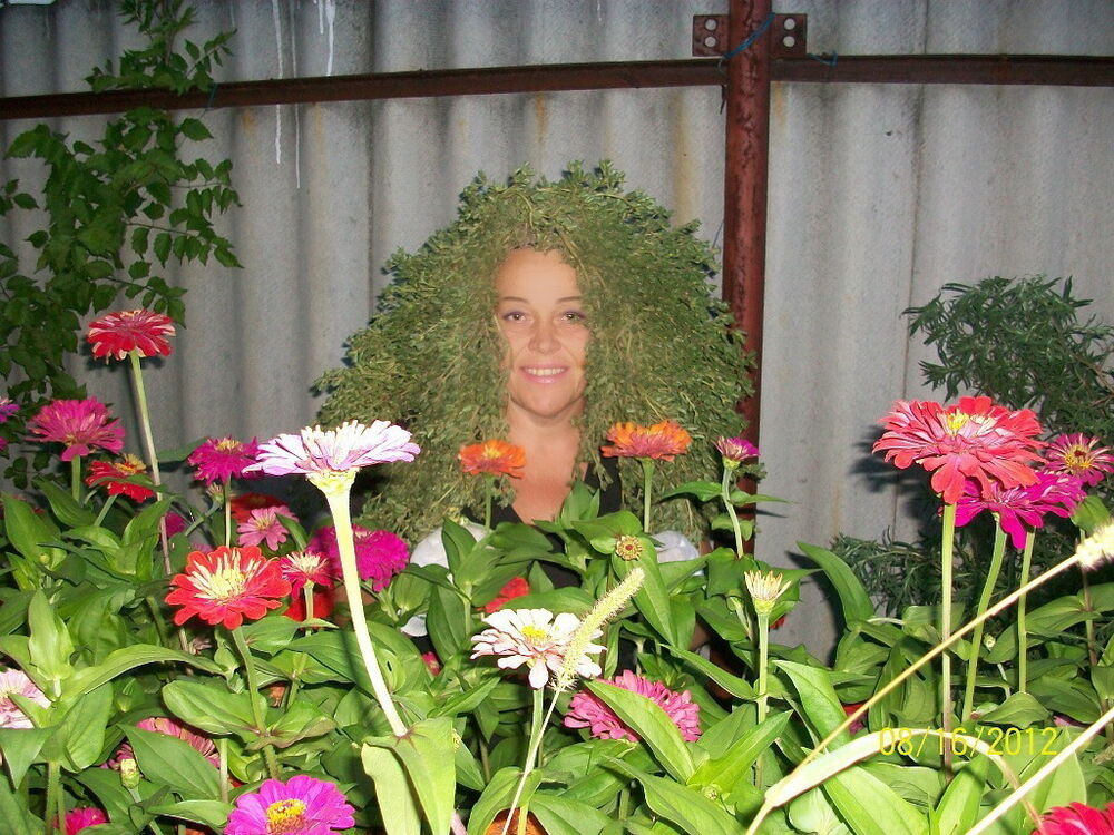  ,   , 59 ,  