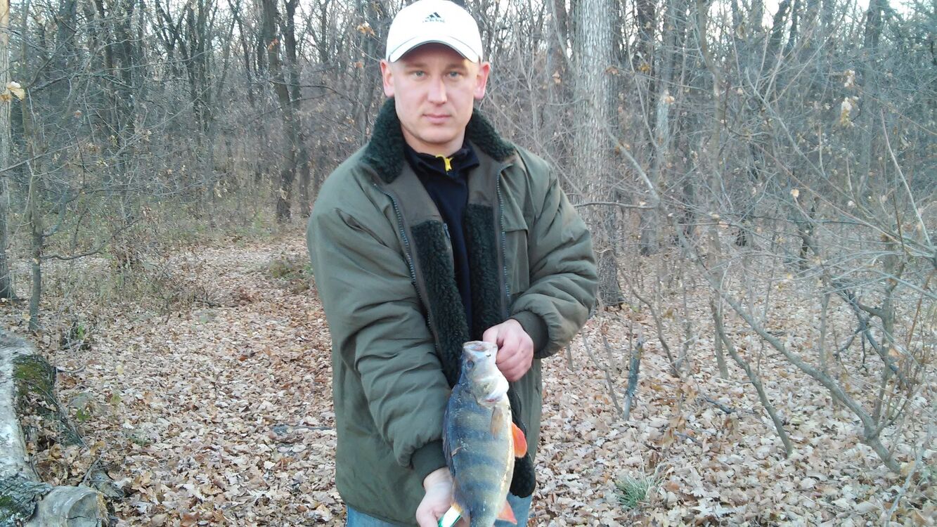  54061464  Anton, 37 ,    