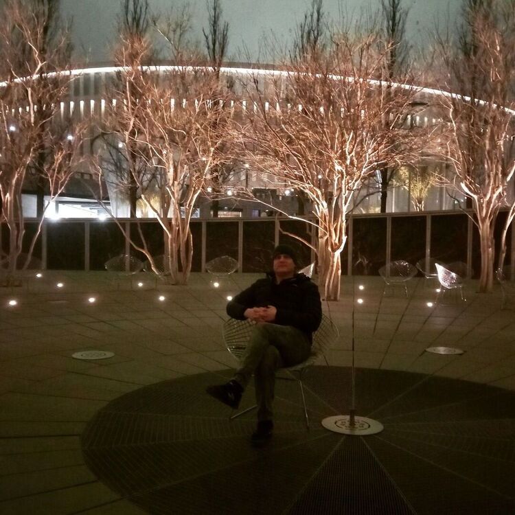 ���� 33117654 ������� �������, 44 ����, ���� ���������� � �������-��-����