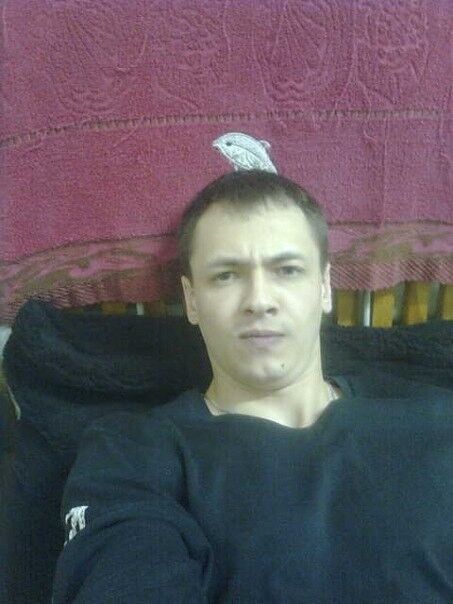 ,   , 44 ,   ,   , c 