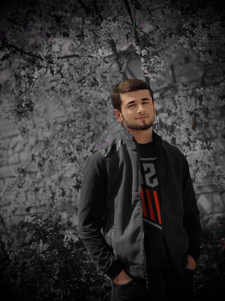  37728714  , 25 ,    -