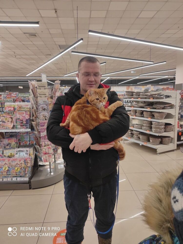 ���� 33381904 ������� �������, 42 ����, ���� ���������� � �����������