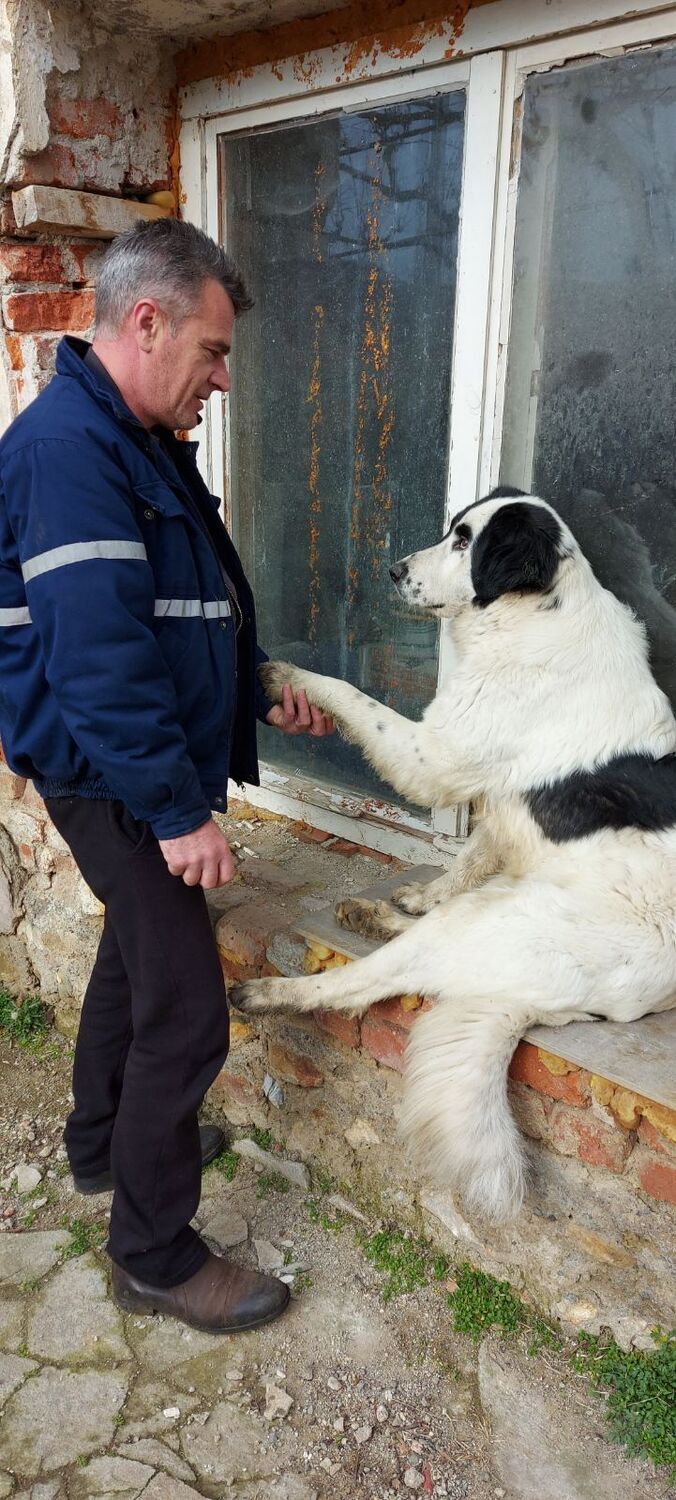 ���������� �����, ���� ������� ������, 52 ����, ������������ ��� c�������� ���������, ���������