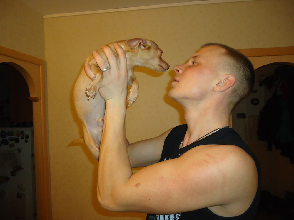 ���������� �����-���������, ���� ������� ������, 40 ���, ������������ ��� ������, ����� � ���������, c�������� ���������