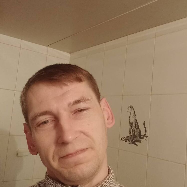 ���� 24699204 ������� �������, 42 ����, ���� ���������� � ����������