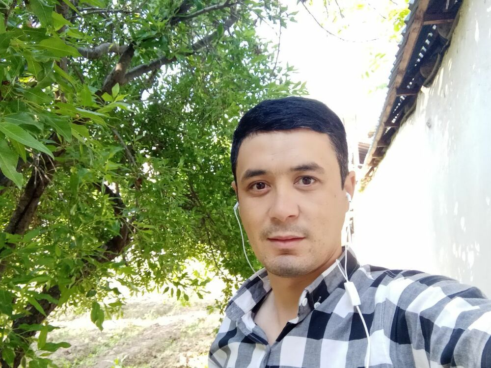  ,   Farrux, 31 ,     , c 