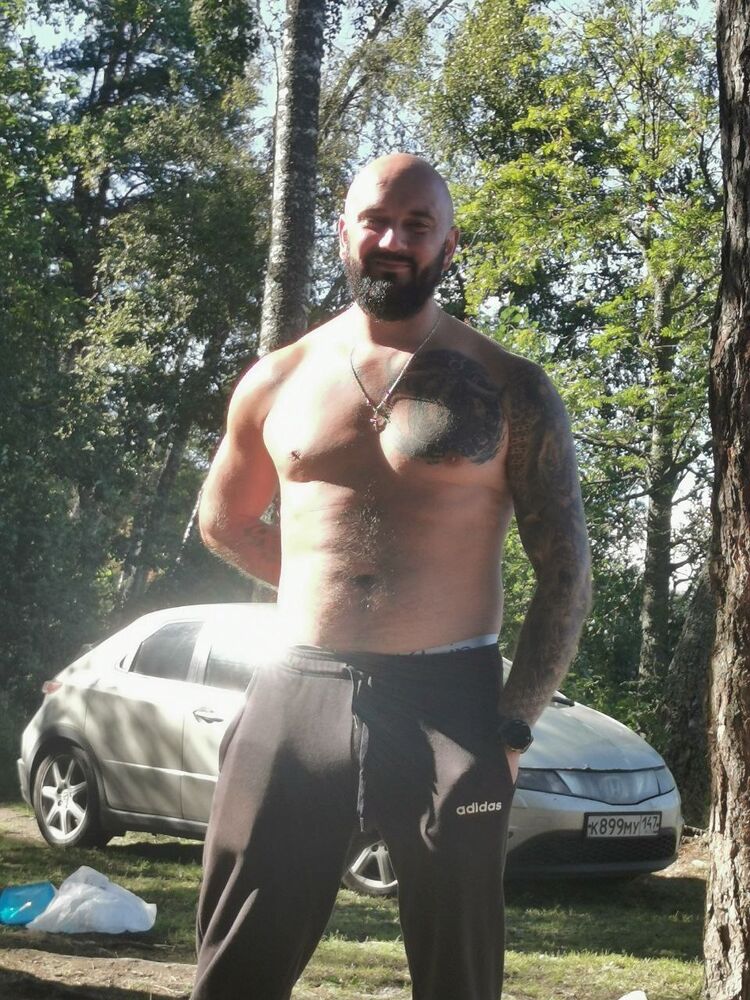  54536544  , 33 ,    -