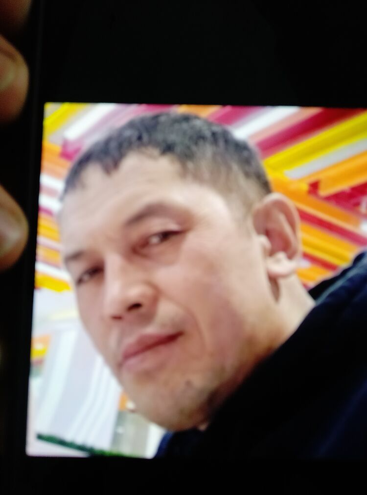 ���� 54931184 ������� ���, 44 ����, ���� ���������� � �������