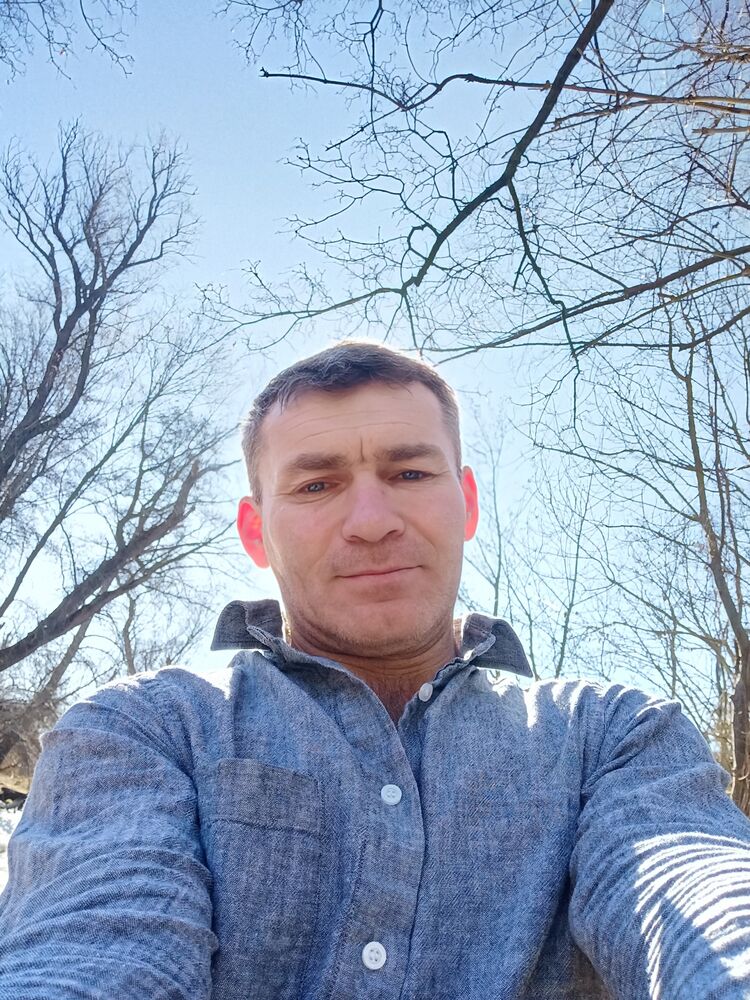  53135304  , 46 ,    