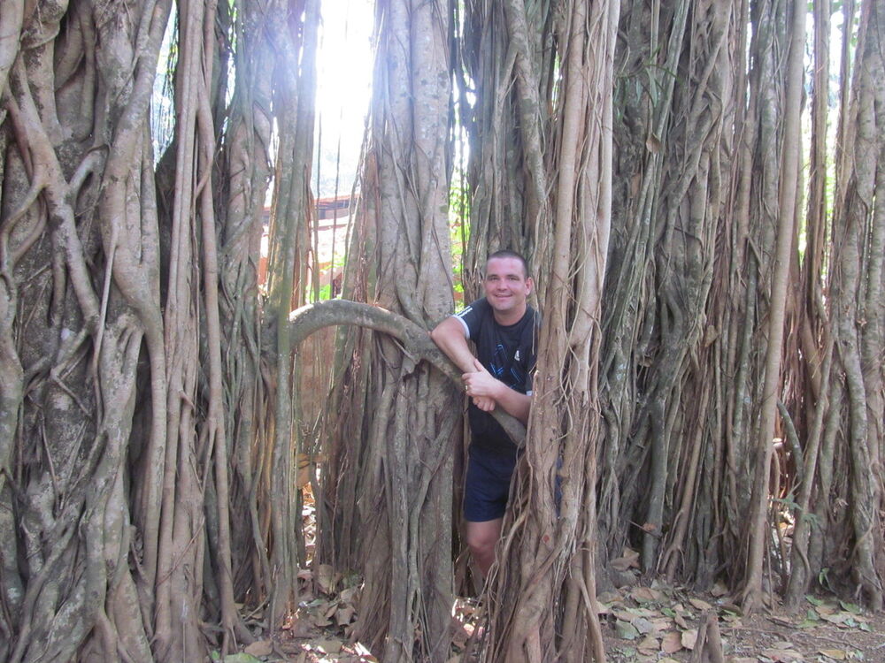 ���� 6113924 ������� ����, 43 ����, ���� ���������� � �������-��-����