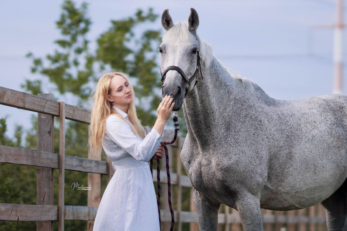 ���������� �����-���������, ���� ������� �����, 21 ���, ������������ ��� ����� � ���������, c�������� ���������