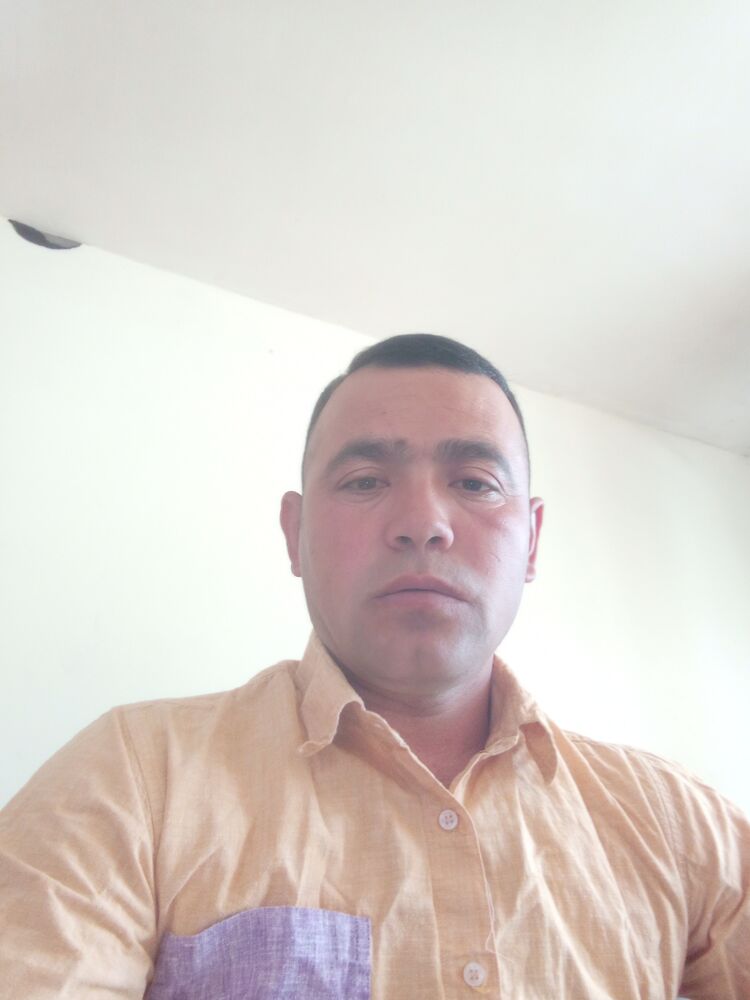  34520274  , 43 ,    