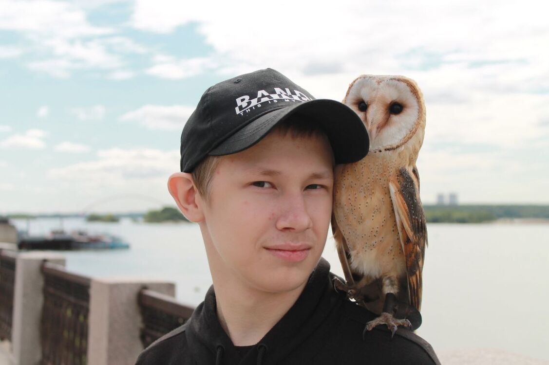  ,   , 18 ,     , 
