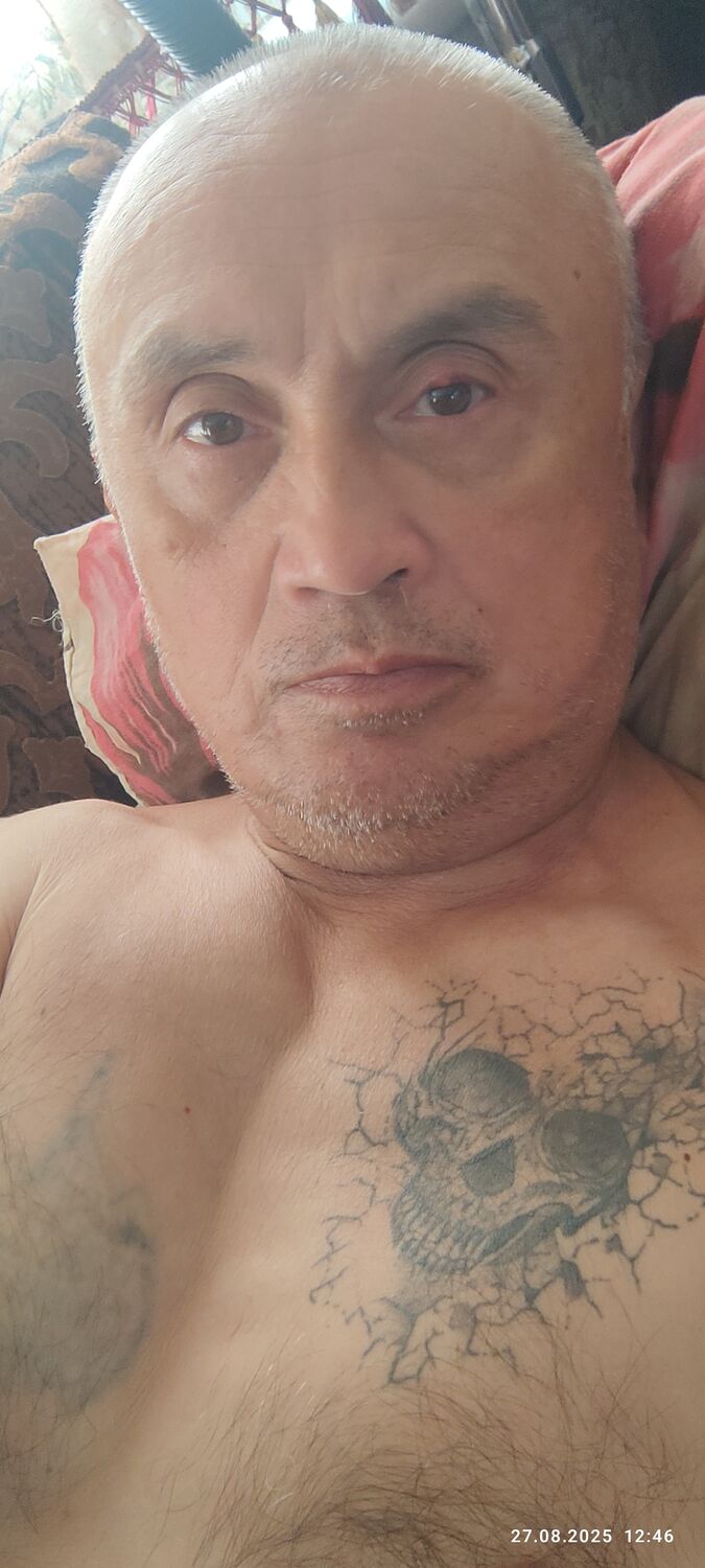  53787154  , 56 ,    