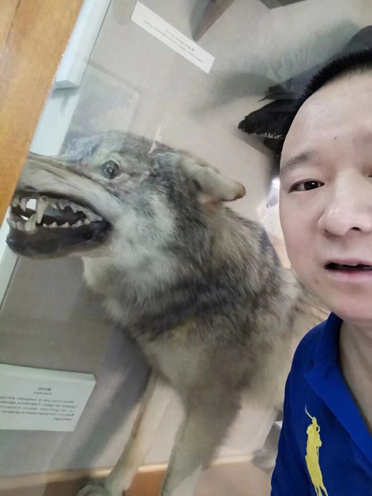 ���� 44466864 ������� �����, 34 ����, ���� ���������� � �������������