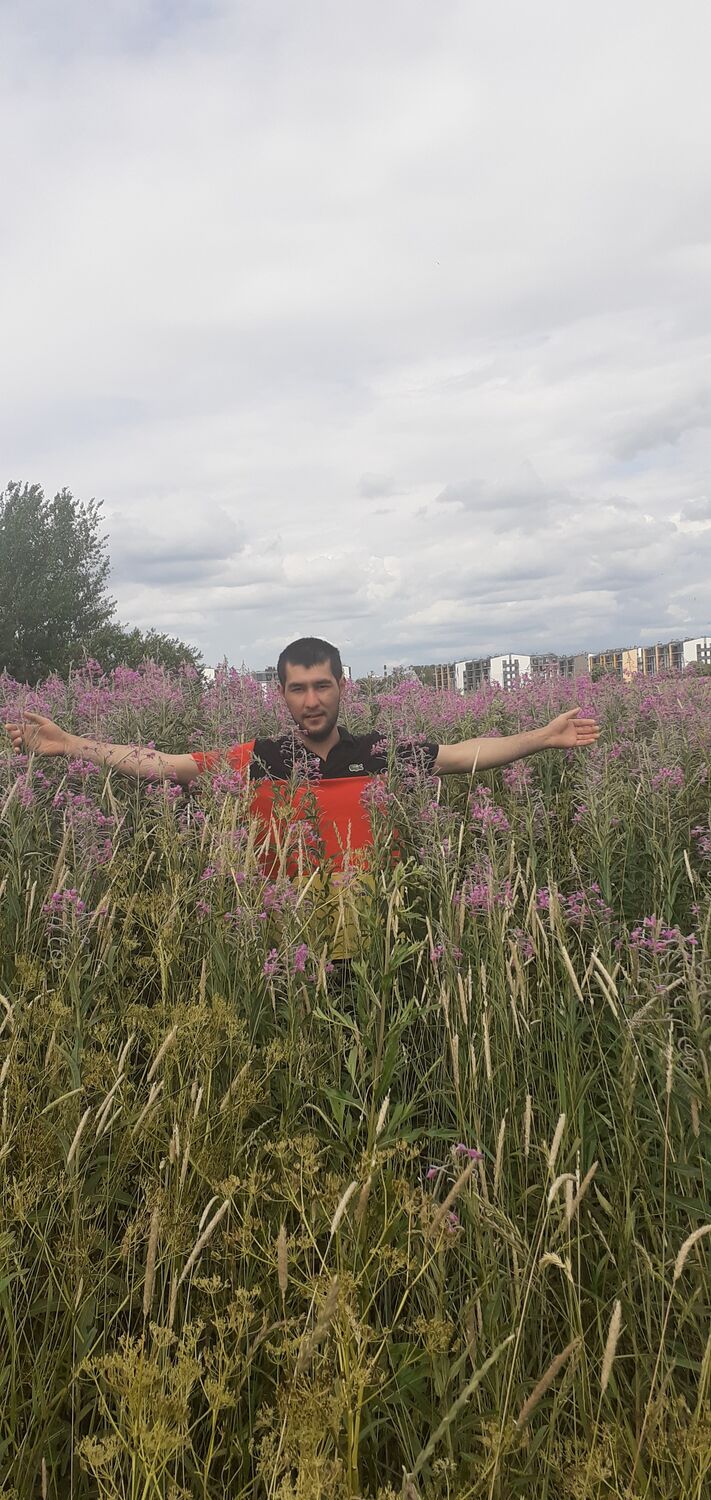 ���������� �����-���������, ���� ������� ����, 41 ���, ������������ ��� ������, ����� � ���������, c�������� ���������