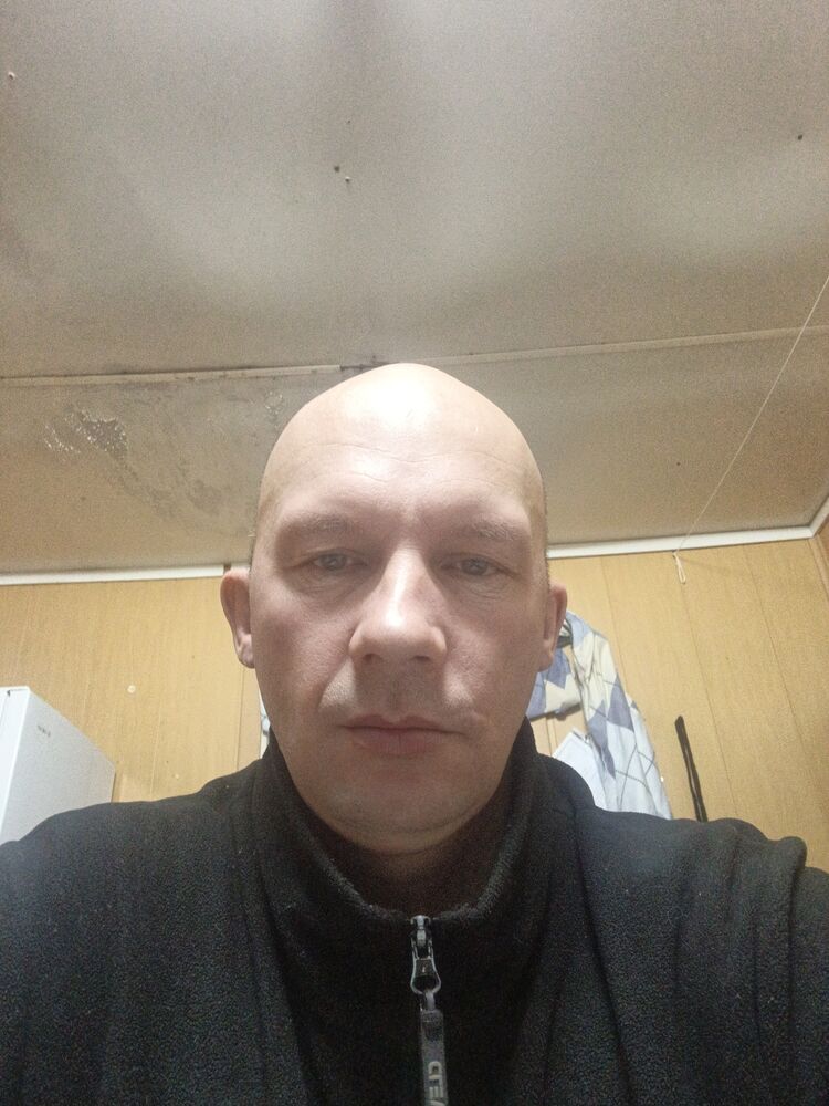 ���� 55594244 ������� �������, 44 ����, ���� ���������� � ���������