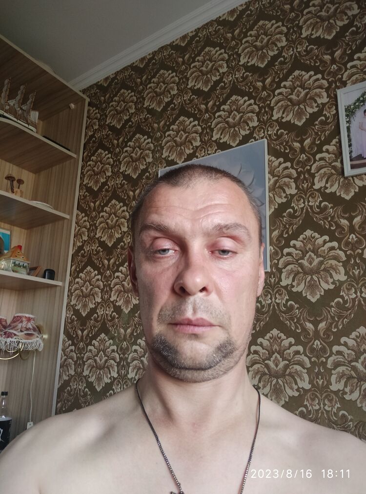  53058744  , 44 ,    